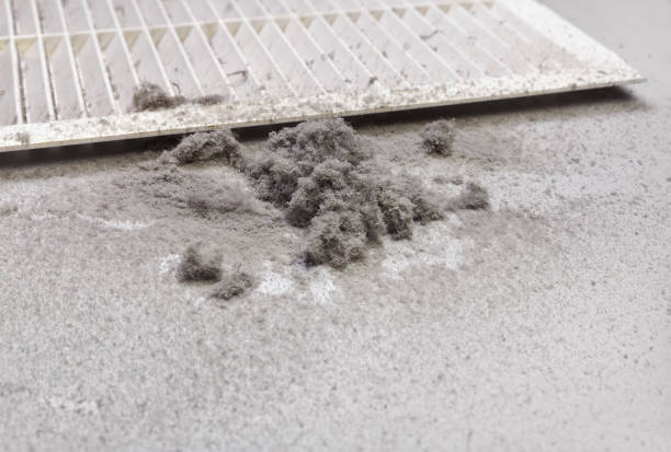Ductwork Cleaning Services in Windsor, VA