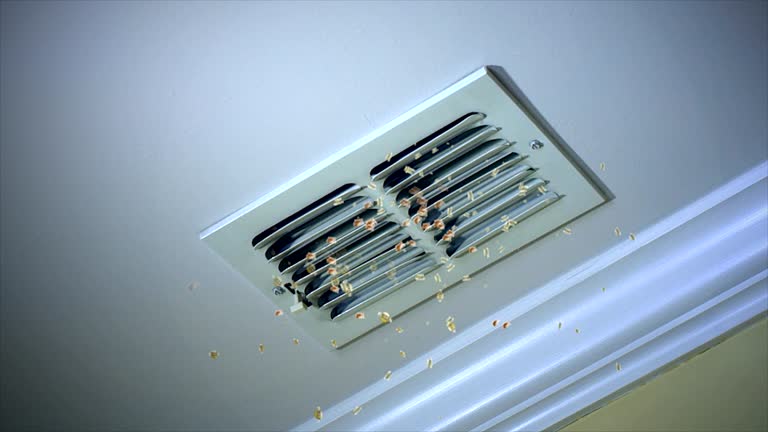 Best General Air Duct Cleaning  in Windsor, VA