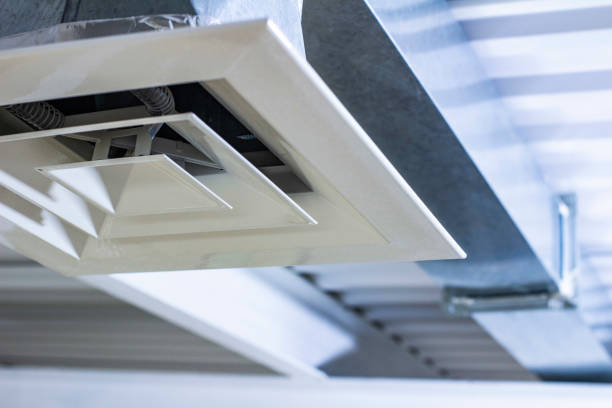 Air Duct Mold Removal in Windsor, VA