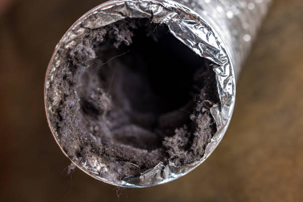 Best Ductwork Cleaning Services  in Windsor, VA