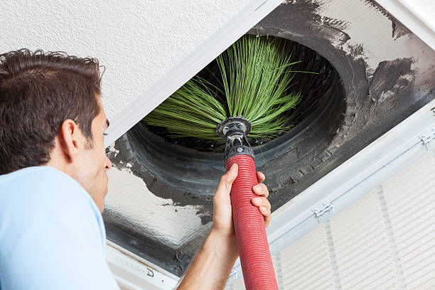 Best Local Air Duct Cleaning Services  in Windsor, VA