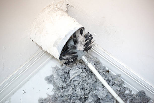 Best Air Duct Cleaning Near Me  in Windsor, VA